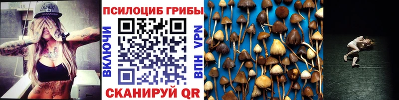 Галлюциногенные грибы мухоморы  Курчалой 