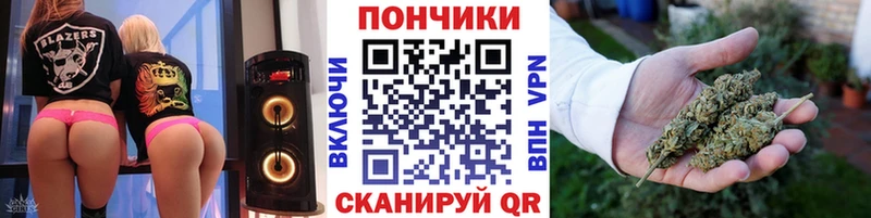 купить наркоту  Курчалой  OMG tor  Бошки Шишки тримм 